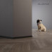 Aluminum MINI baseboard 15x20x2700 mm anodized silver ALU-N1520NEWA 